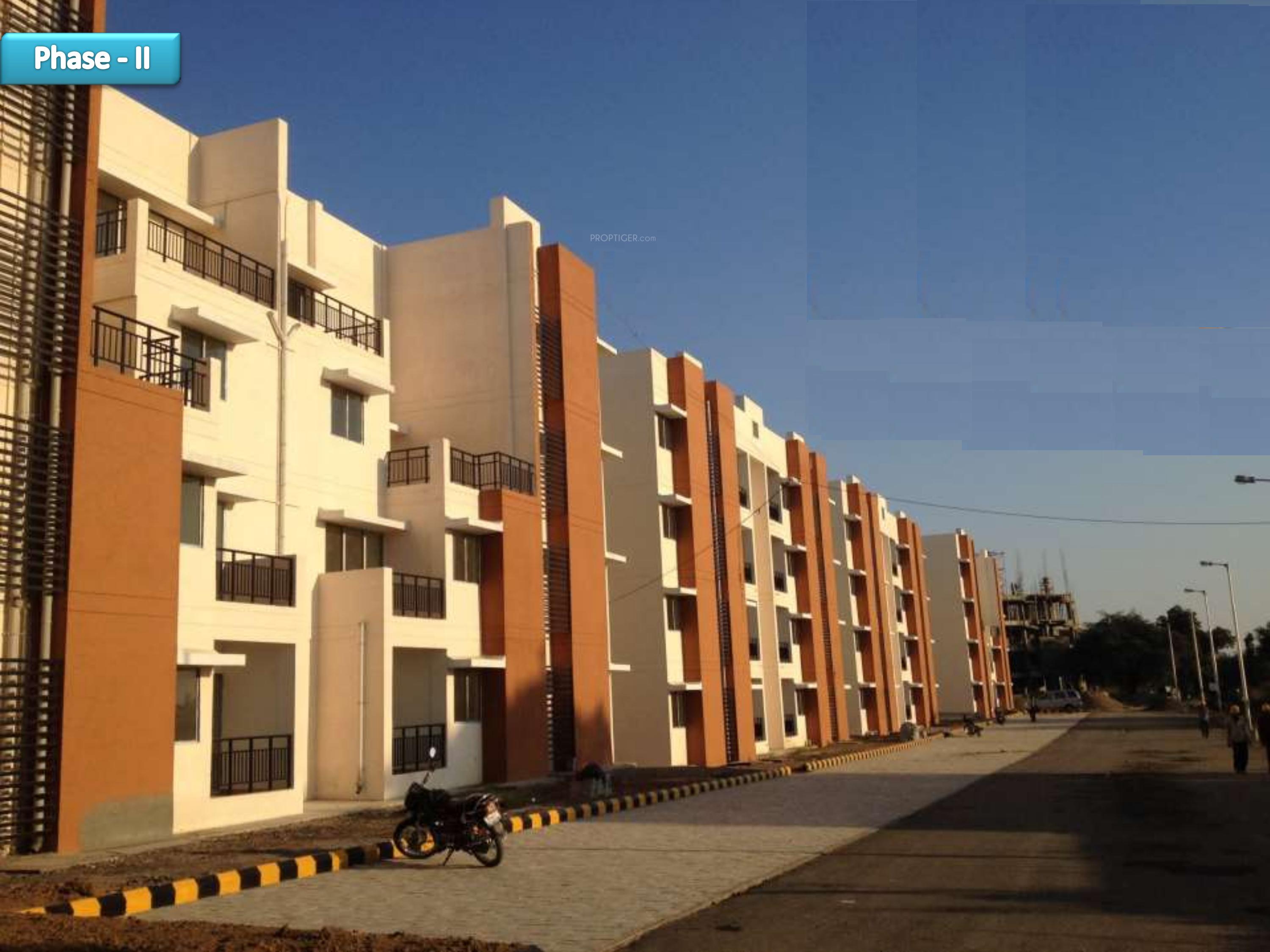 Images for Elevation of Fire Carnation Mids