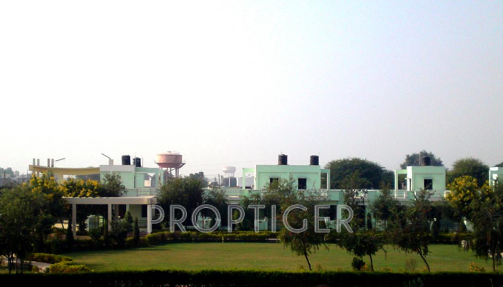  paradise Project Image