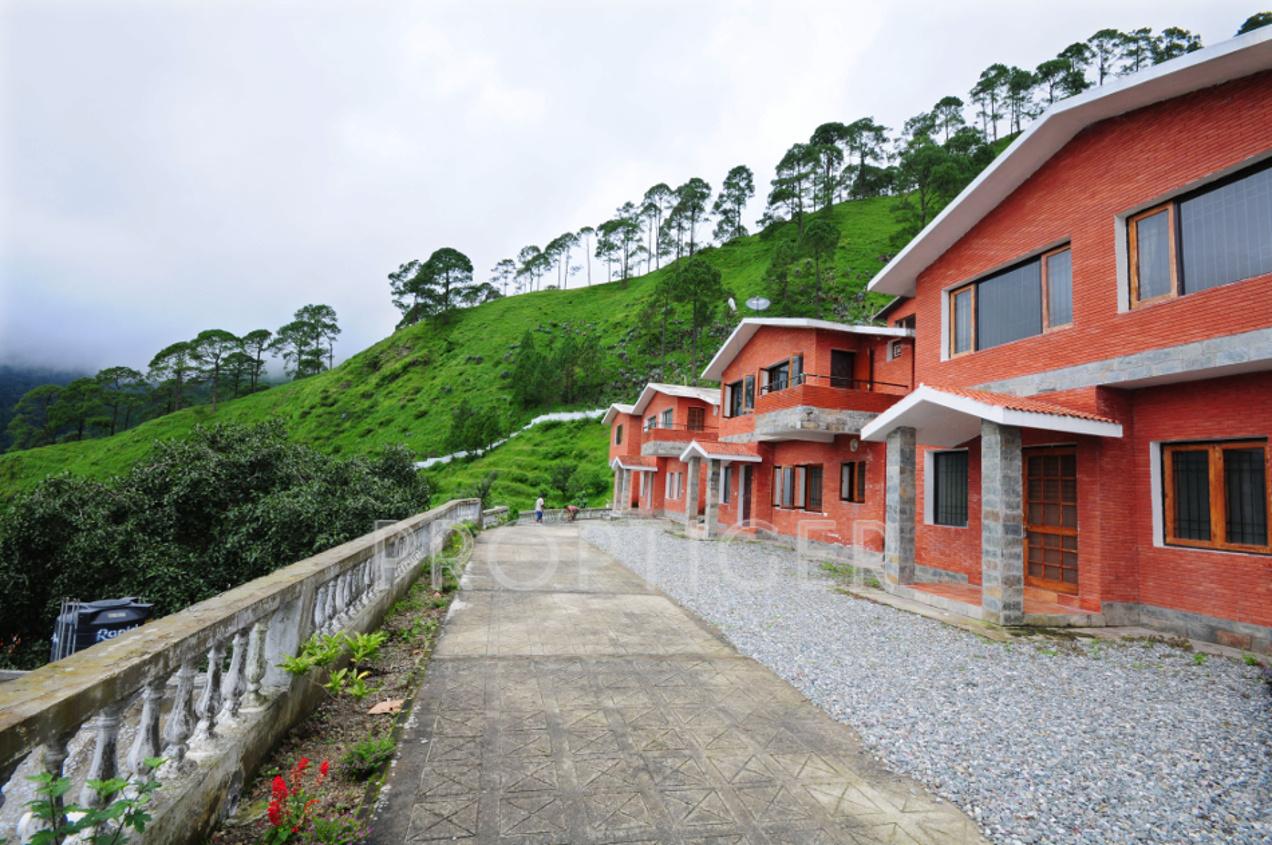 earthcon naini-kingdom Project Image