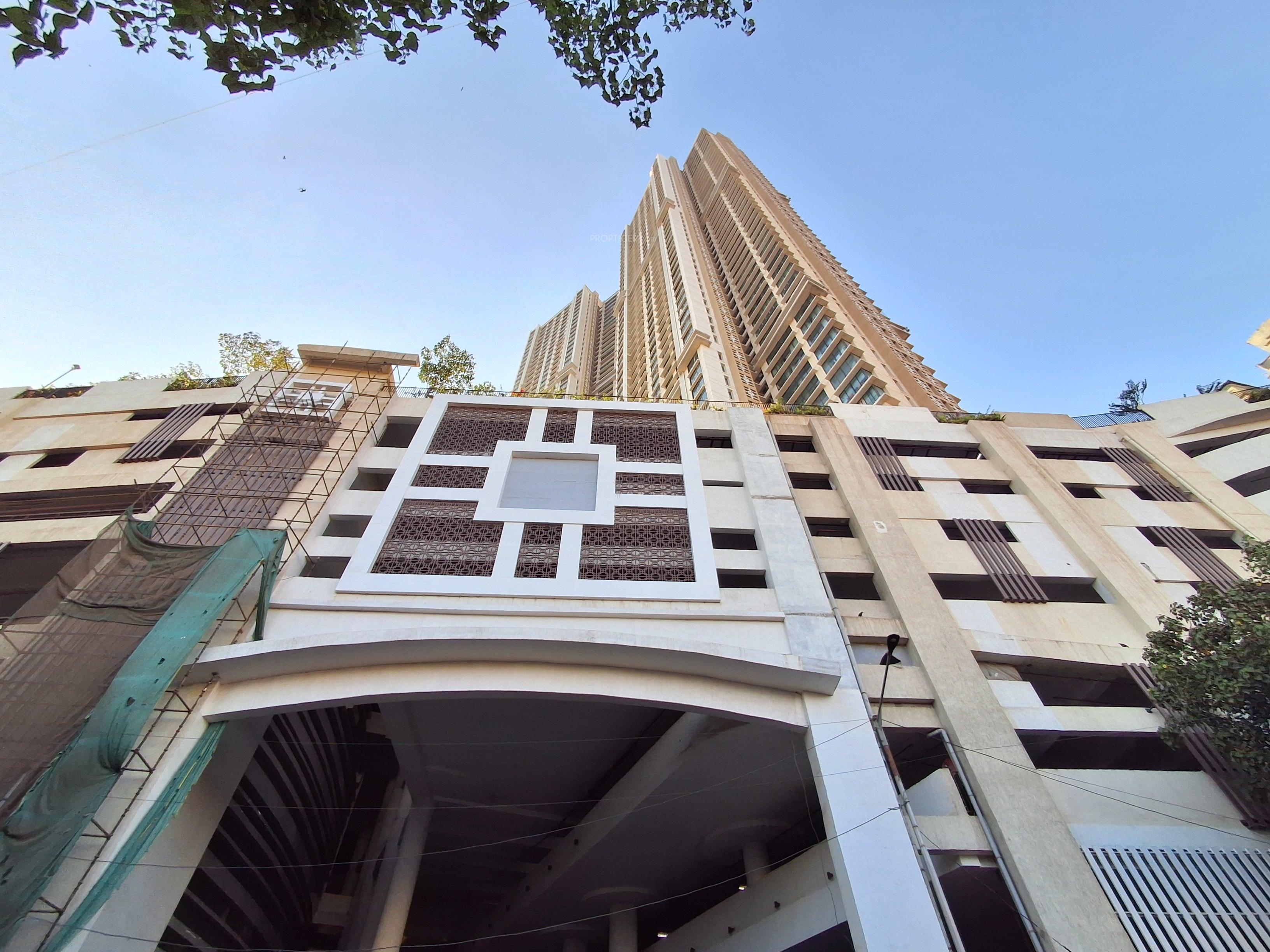  celestia-spaces Elevation