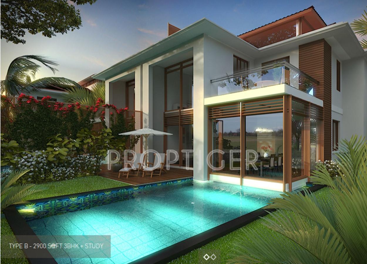 Images for Elevation of Vianaar Magia Ceu