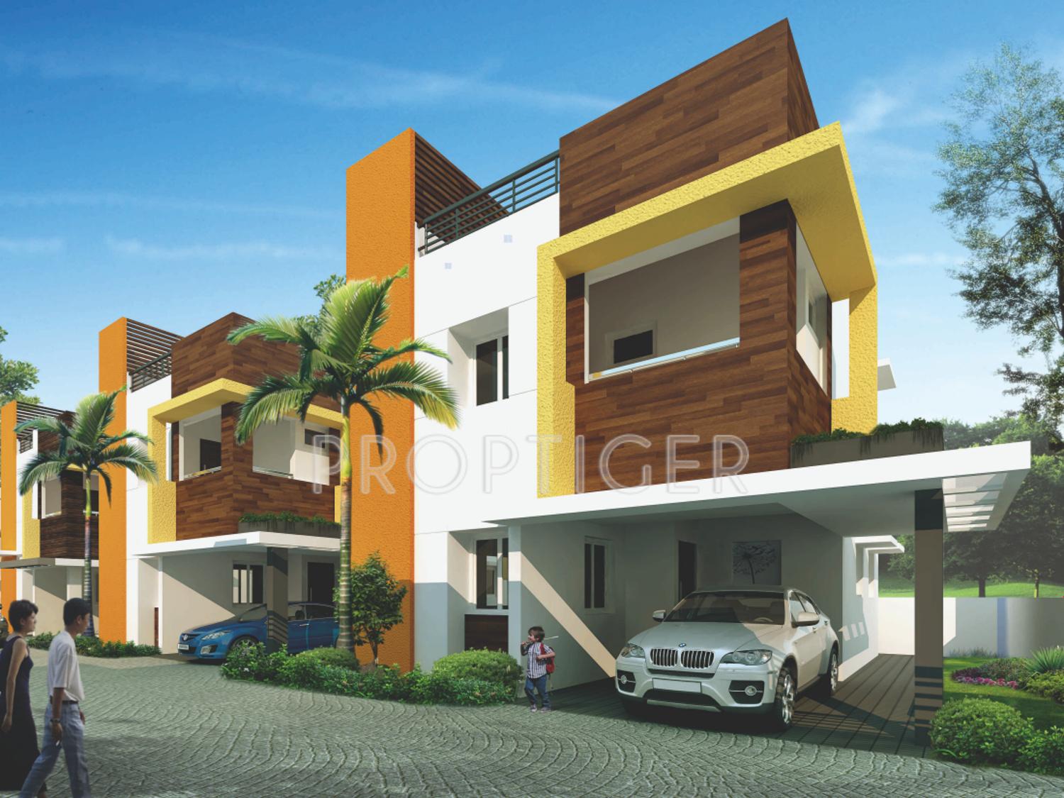 Orange Blossom Villa