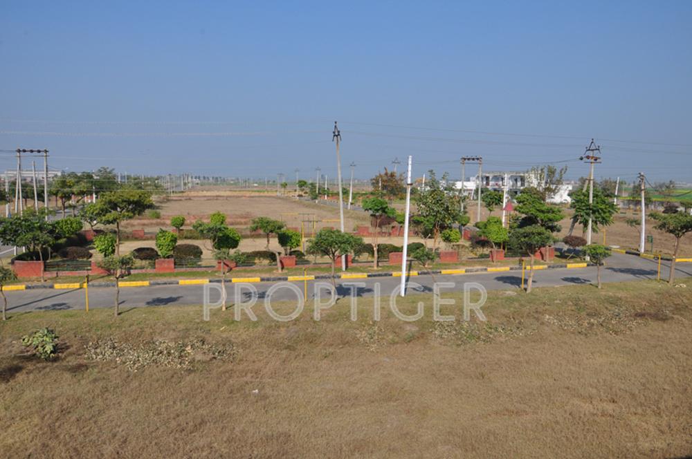 amgeco palm-city Main Other