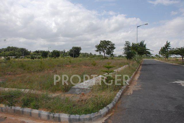 Images for Elevation of Lasya Magnolia
