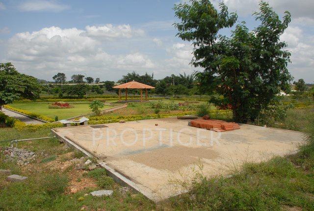 Images for Elevation of Lasya Magnolia