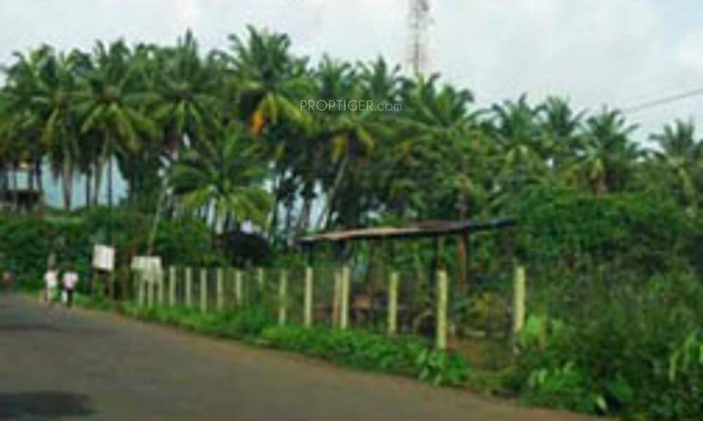 Images for Main Other of Veracity Vardhan Waves