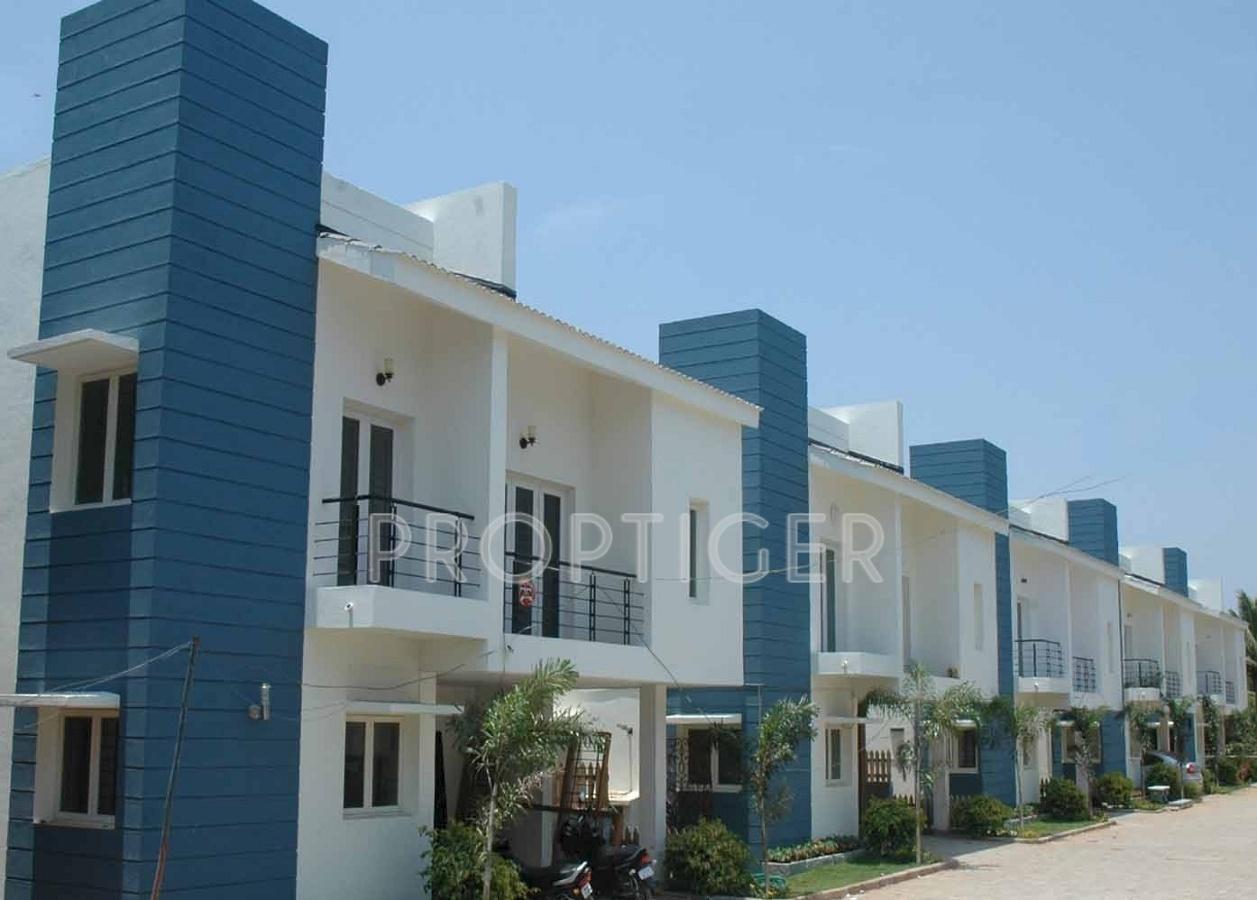 Seaside Seranade