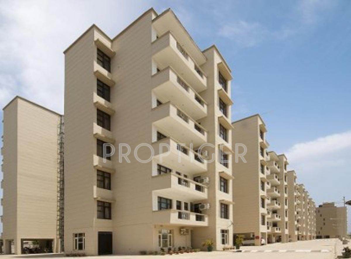 Images for Elevation of Pioneer Acme Heights