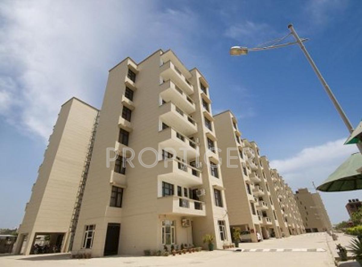 Images for Elevation of Pioneer Acme Heights