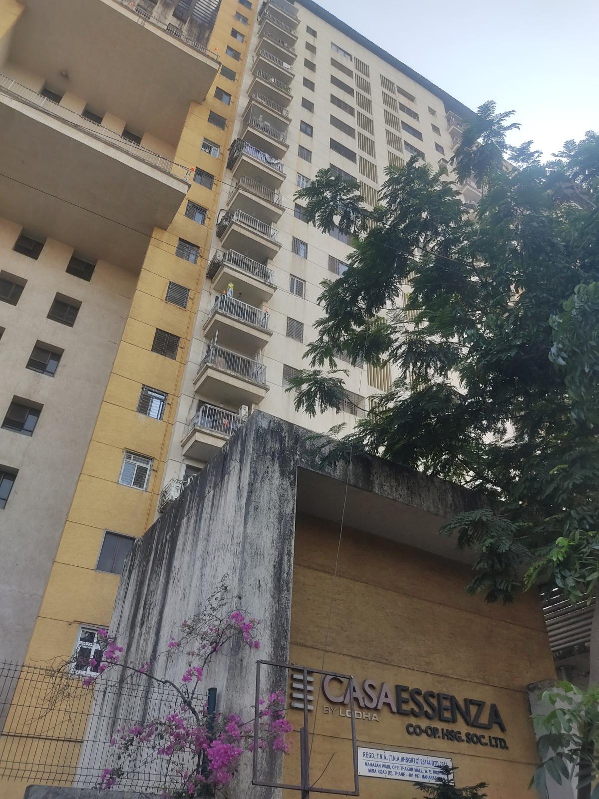  casa-essenza Elevation