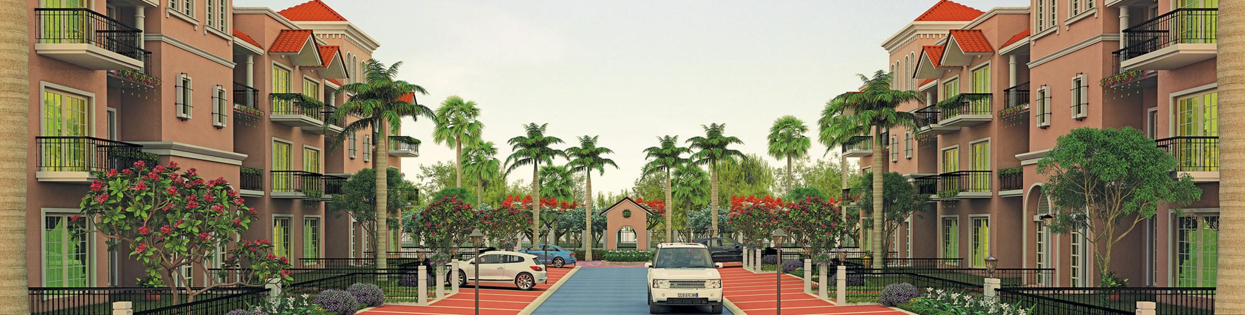 Images for Elevation of CHD Paradiso