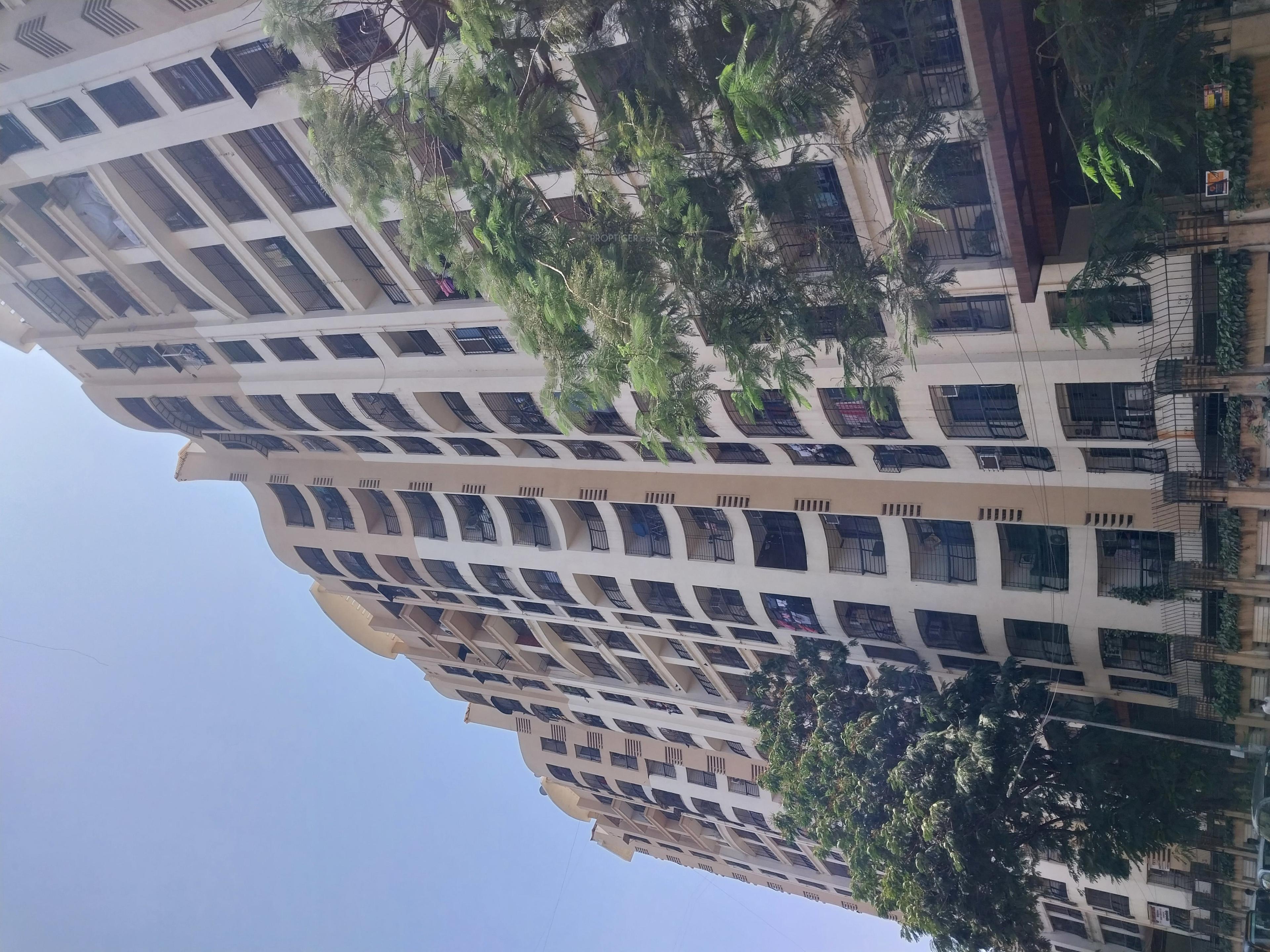  spring-leaf Elevation