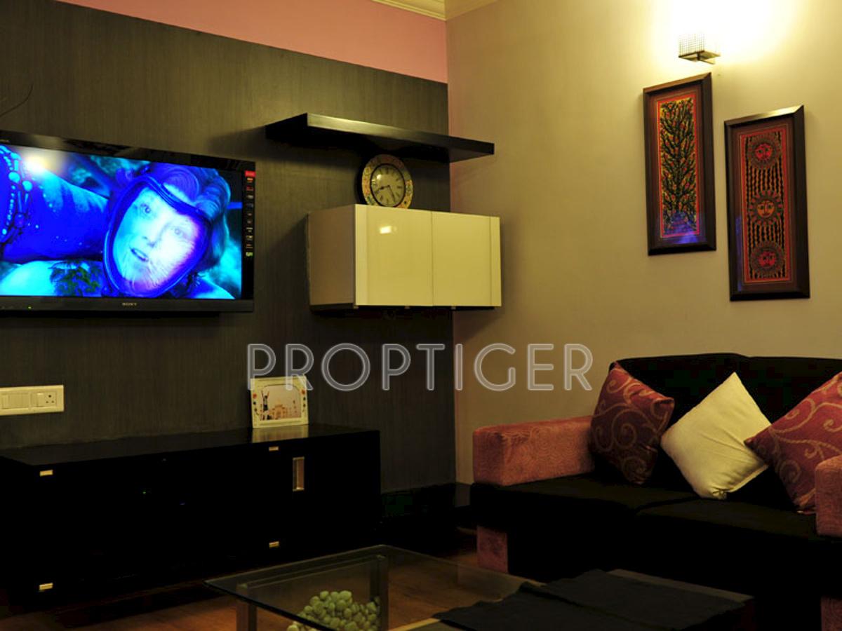 condor-builders-pvt-ltd daffodils Main Other