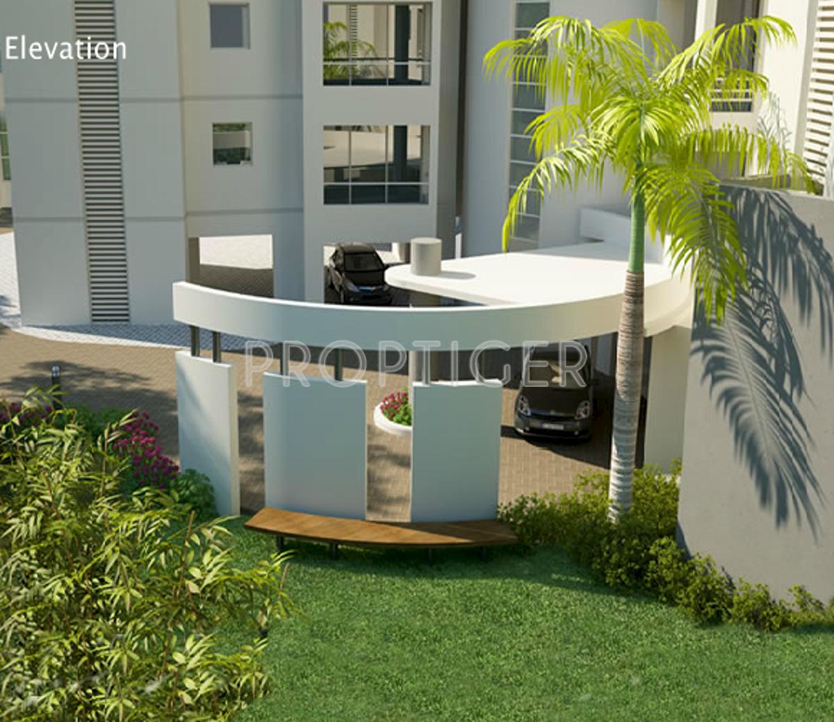 Images for Elevation of Jack Dream Iconia