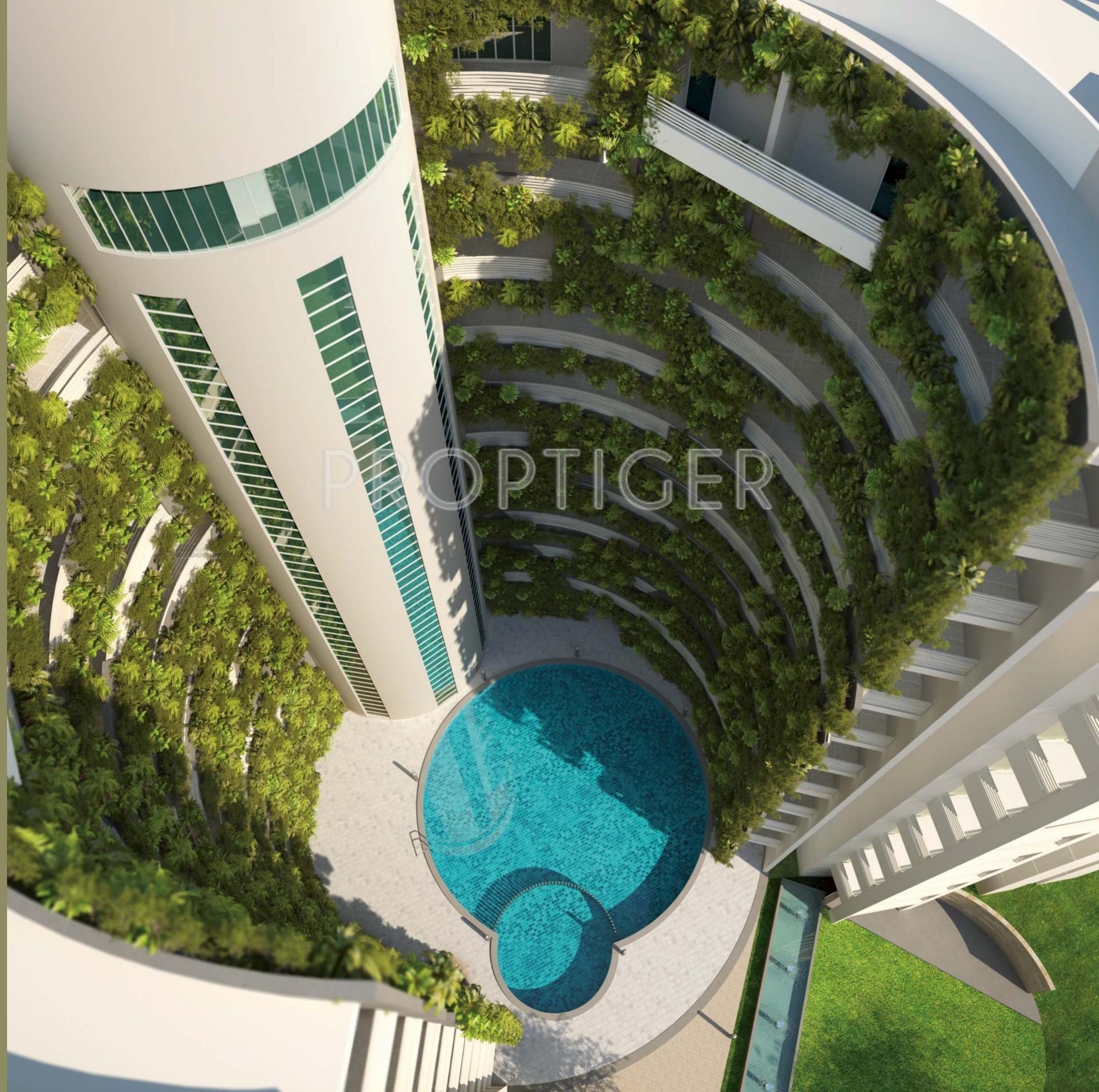 Images for Elevation of Jack Dream Iconia