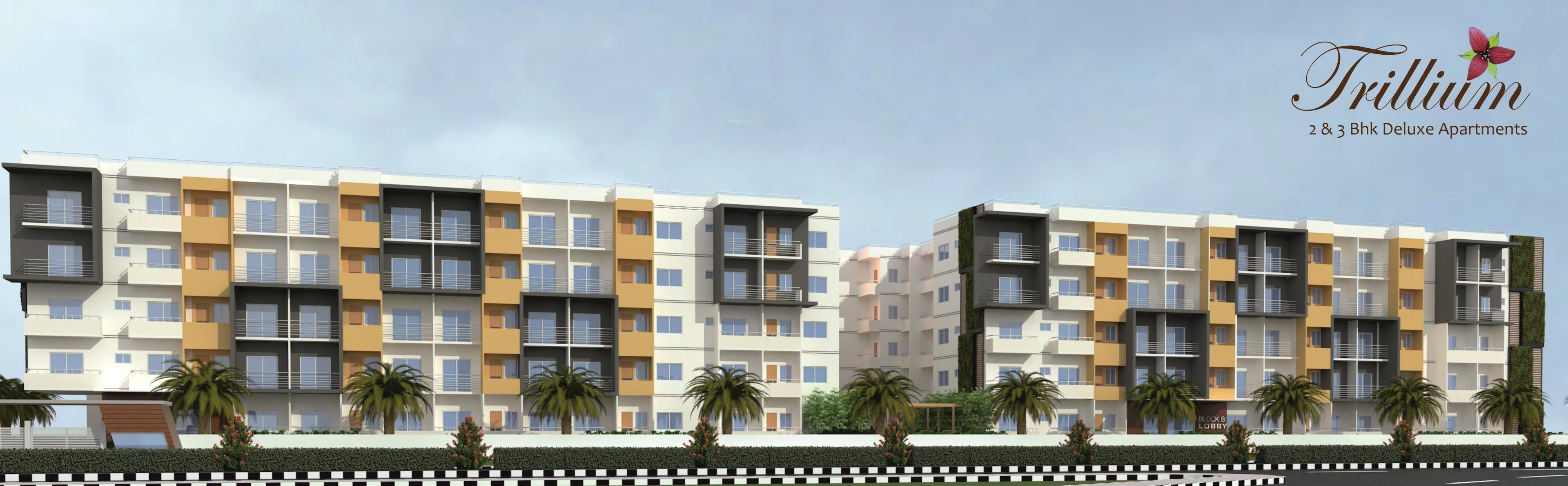 Trillium Apartments