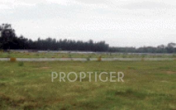 Images for Main Other of KBL Gardenia Plots