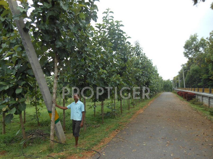 Images for Main Other of YEStates Antillia Teak Garden