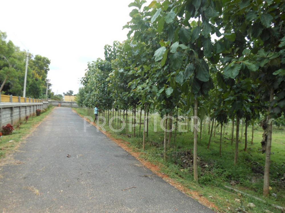 Images for Main Other of YEStates Antillia Teak Garden