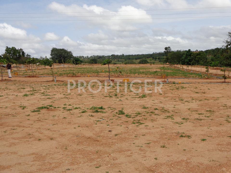 Images for Main Other of Niche Talent City