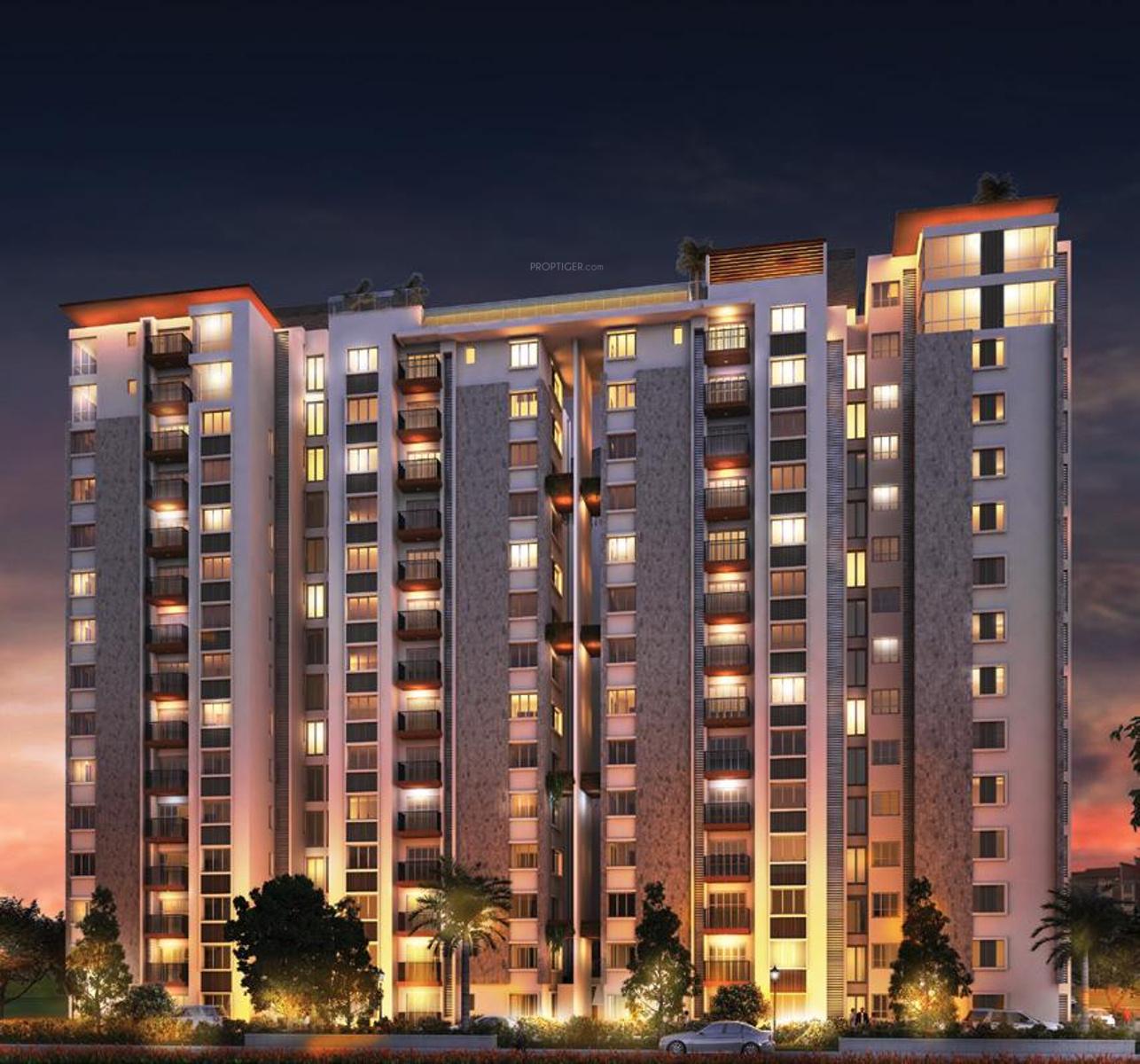  troica Images for Elevation of Sycon Troica