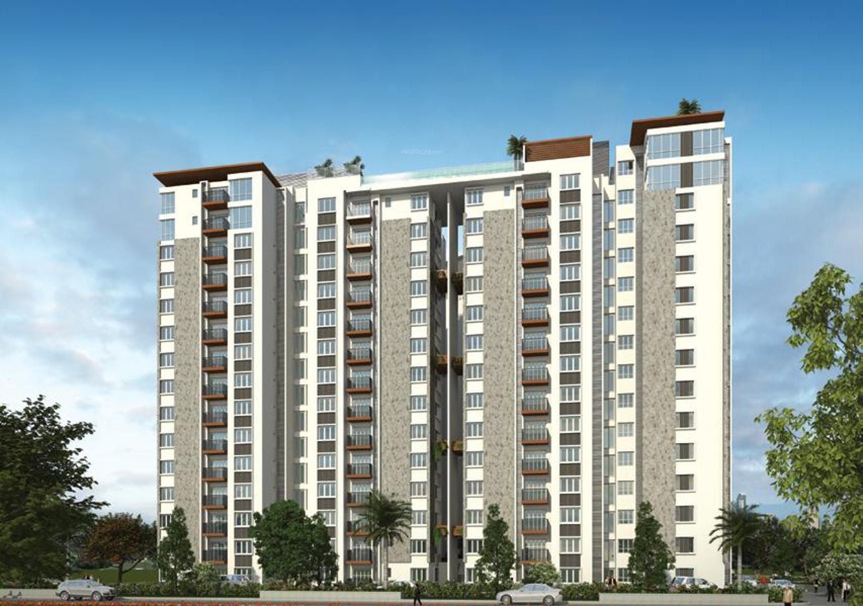  troica Images for Elevation of Sycon Troica