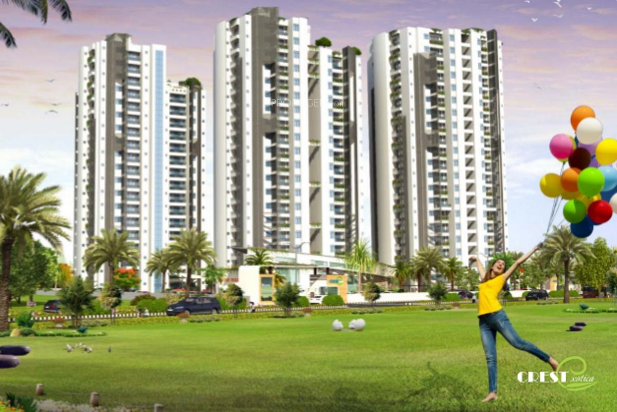  exotica Images for Elevation of Crest Exotica