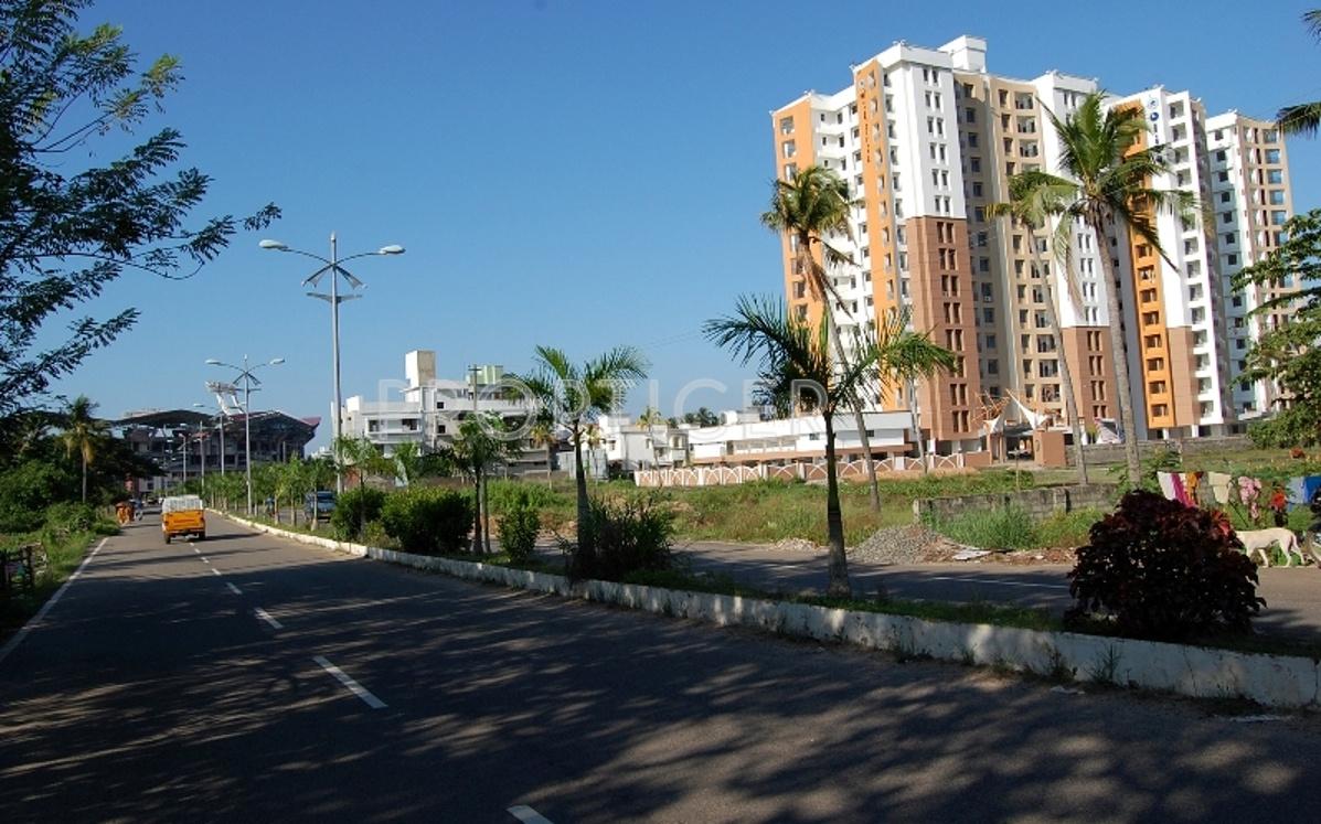 Images for Elevation of Olive Builders Wood Stock