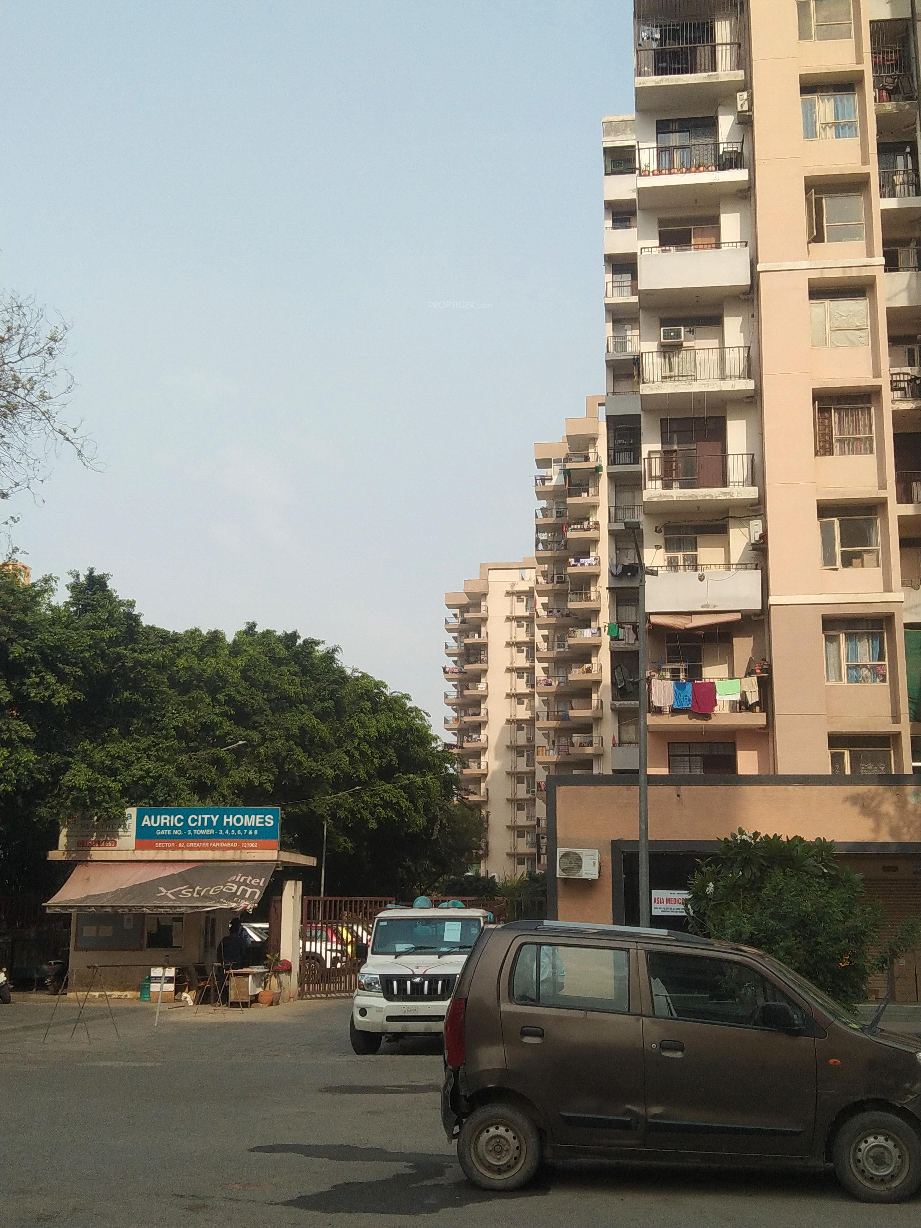  city-homes Elevation