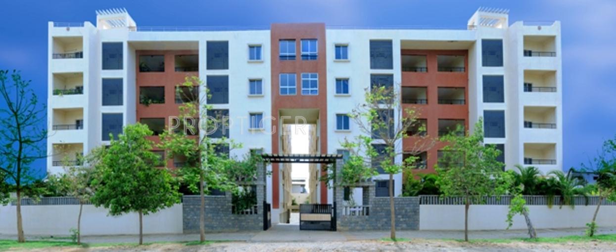 foundations prime Elevation