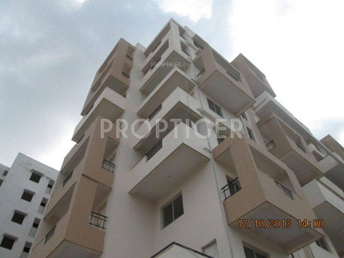 Images for Elevation of Damden Solarium