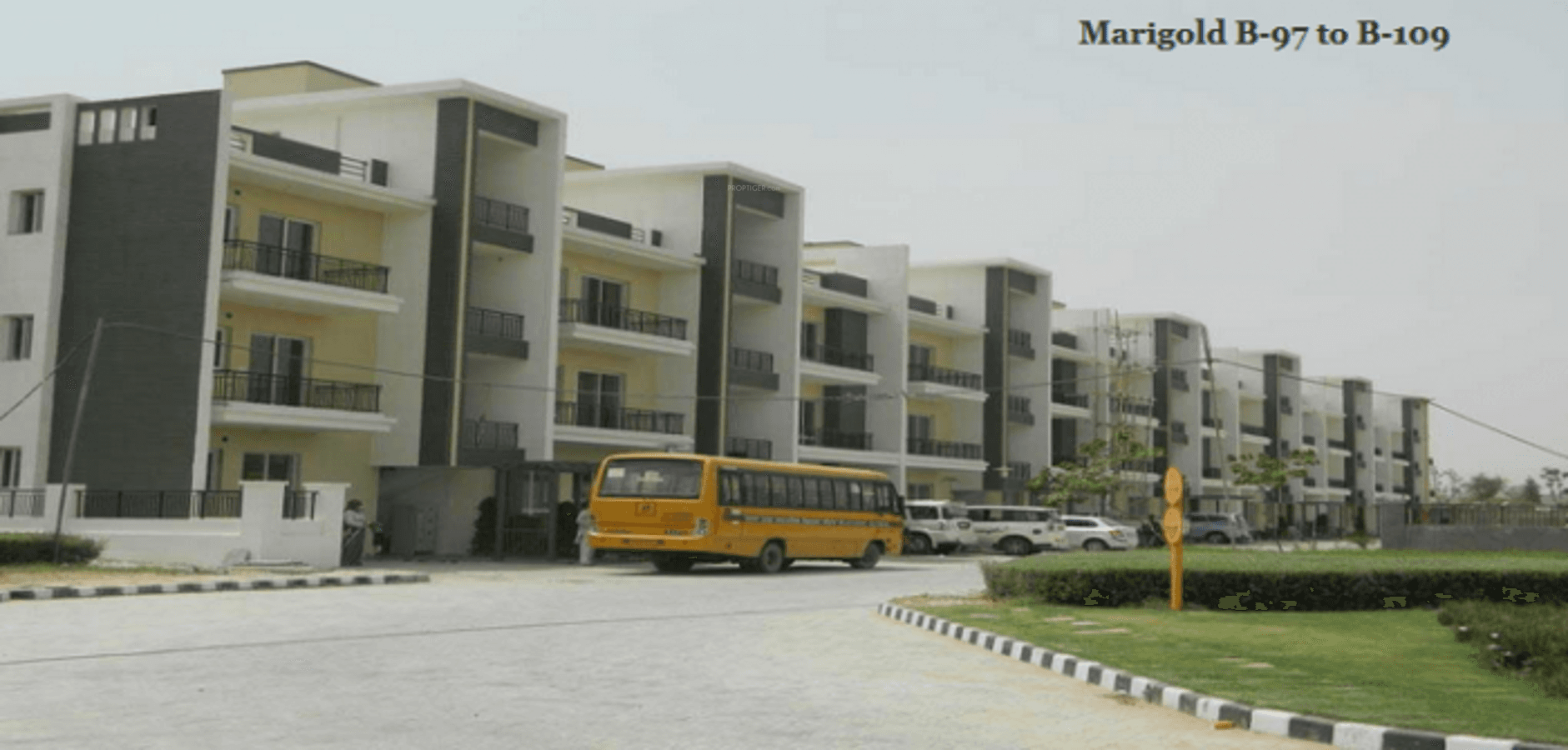 Images for Elevation of Ashadeep Marigold