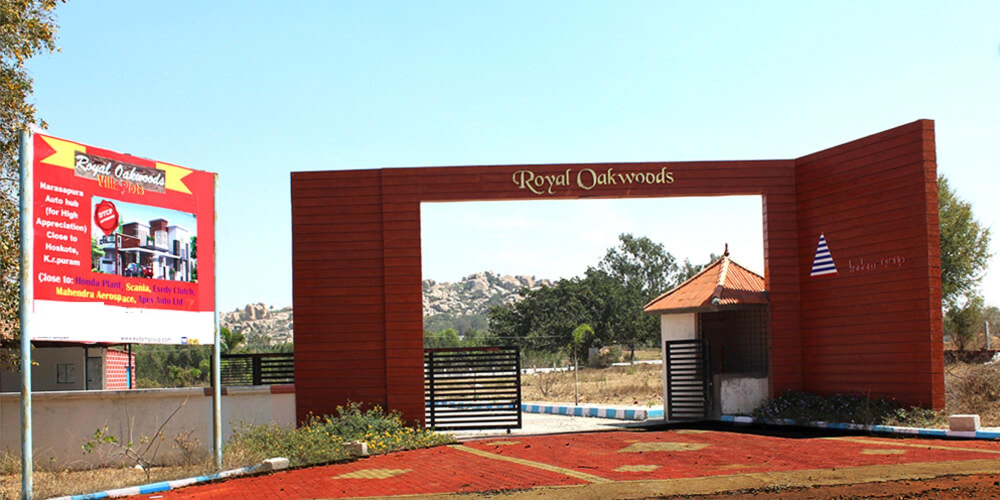 Royal Oak Woods