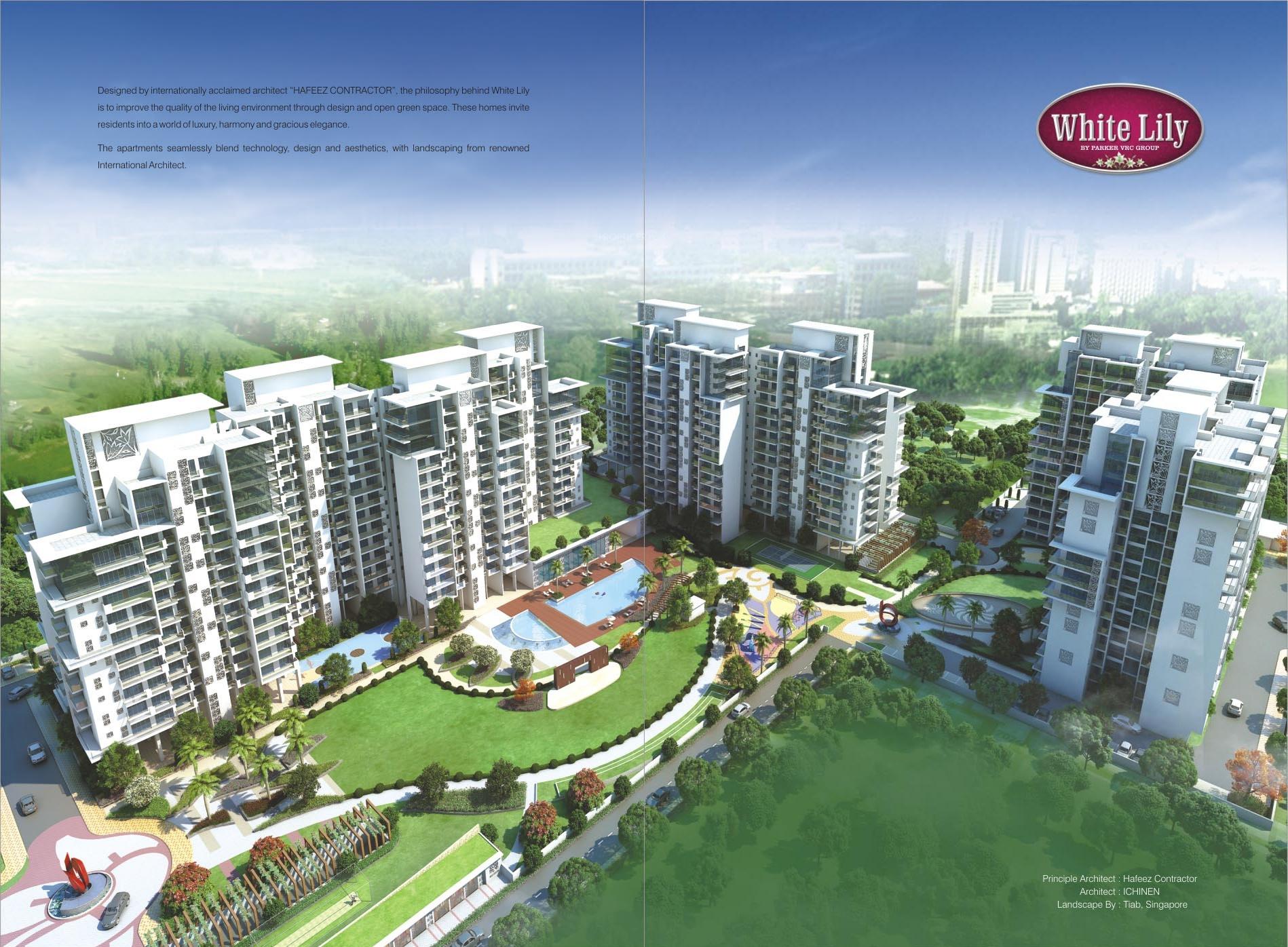 Images for Elevation of Parker White Lily