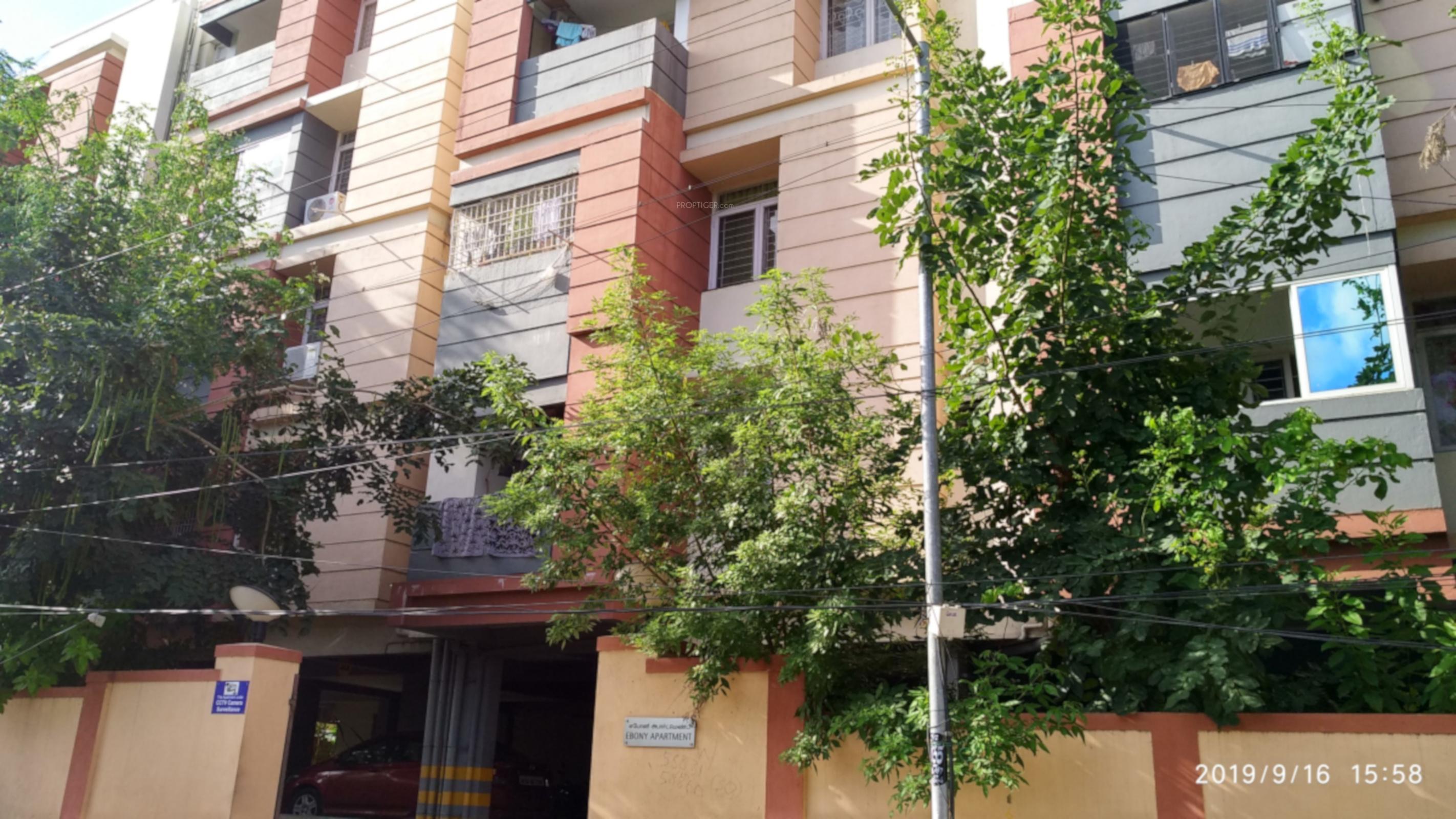  ebony Images for Project