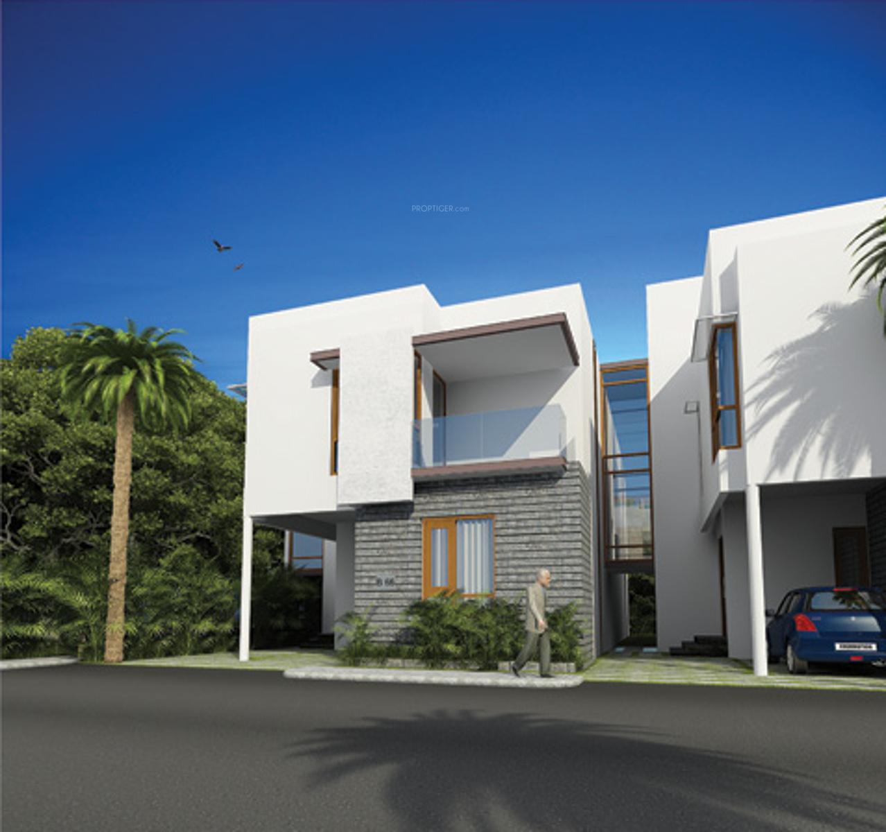 Images for Elevation of ND Around The Mangoes