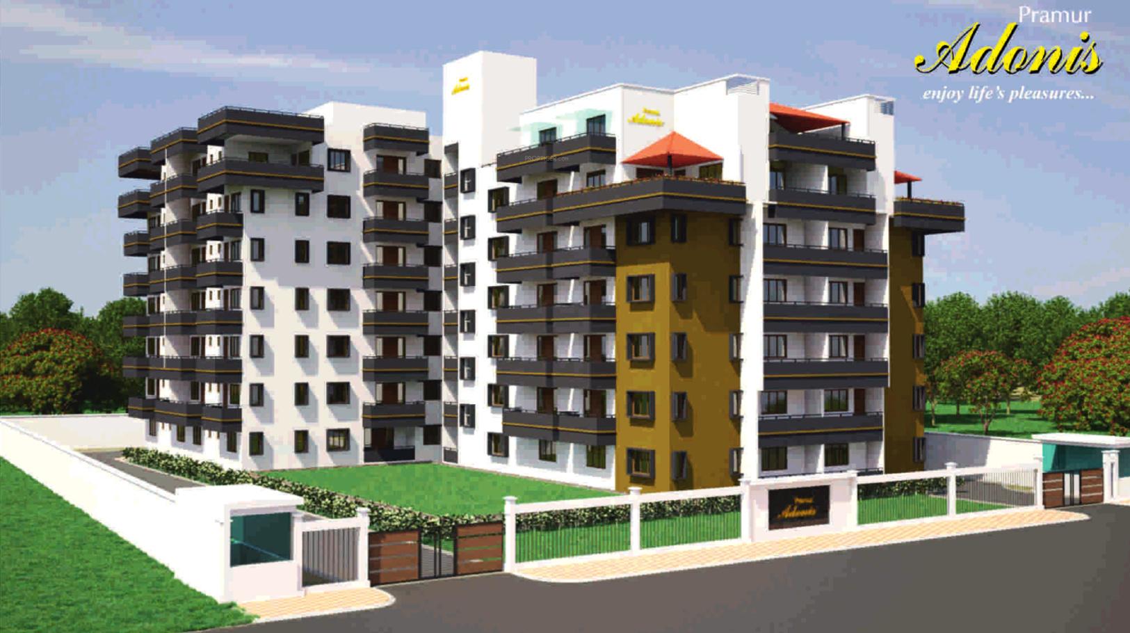  adonis Images for Elevation of Pramur Adonis