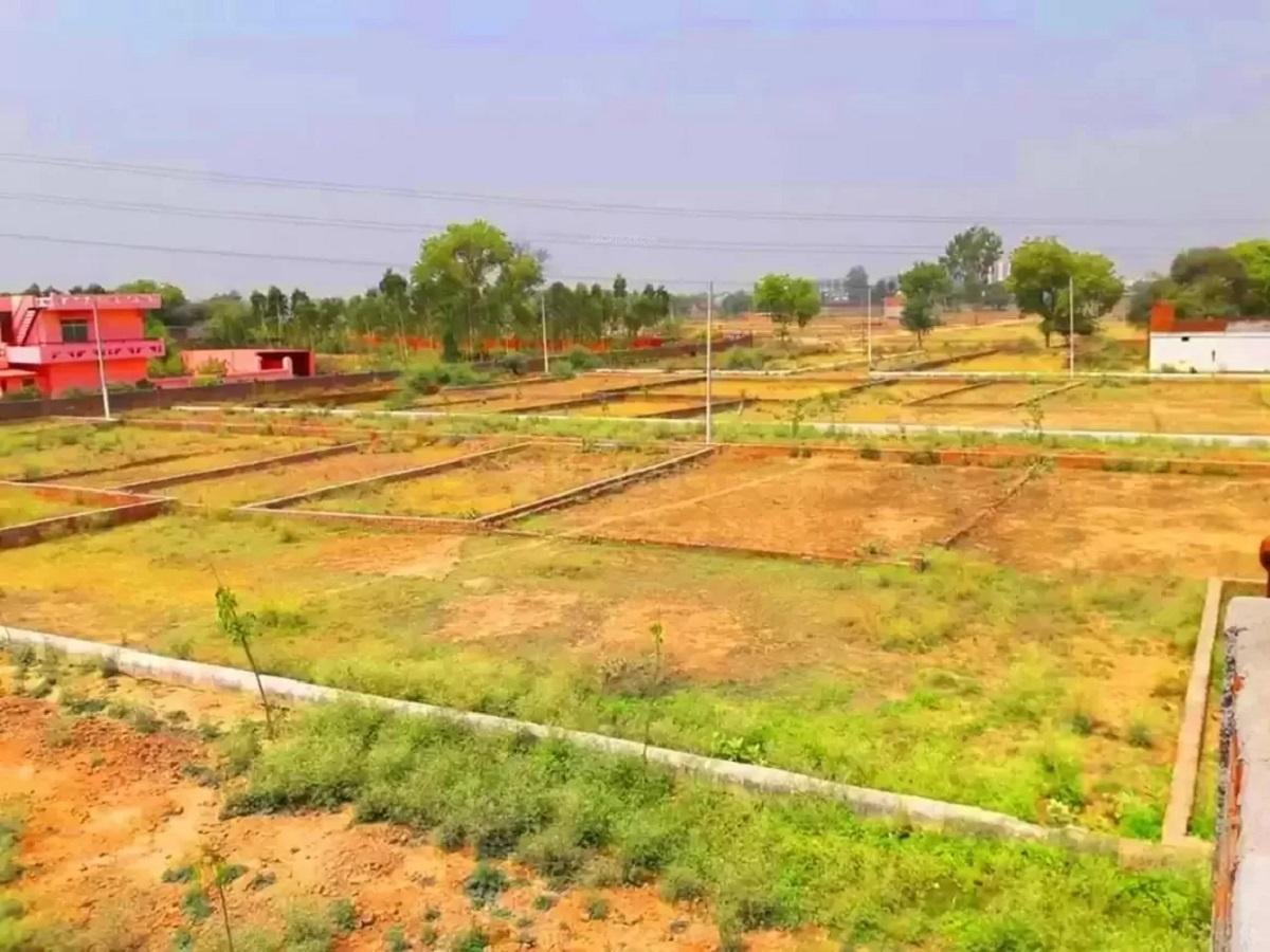 Estate