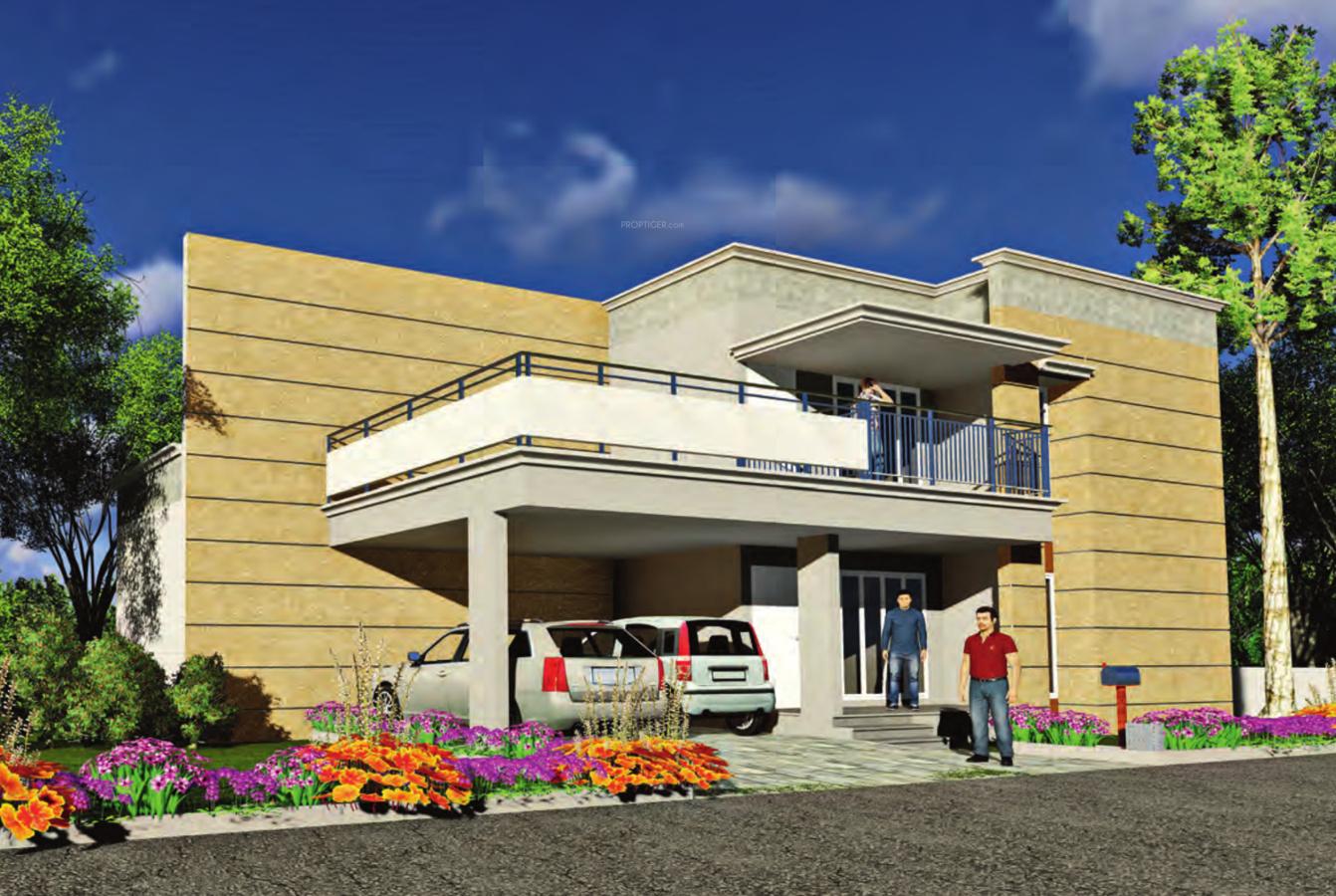 Images for Elevation of Promag Meadows