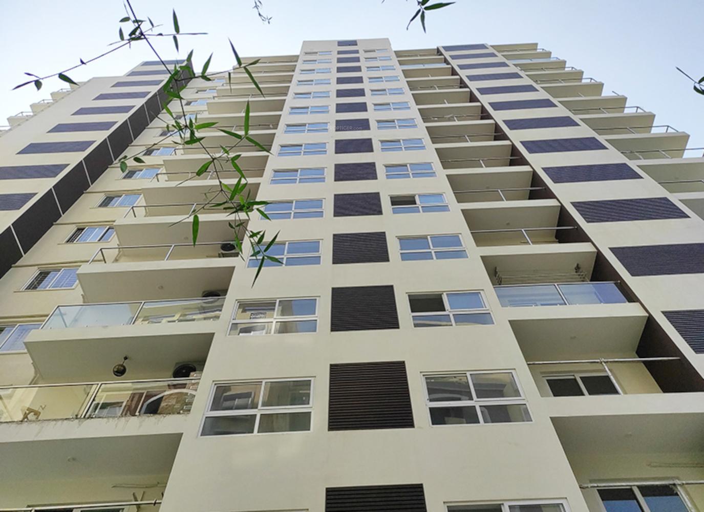  the-address Elevation