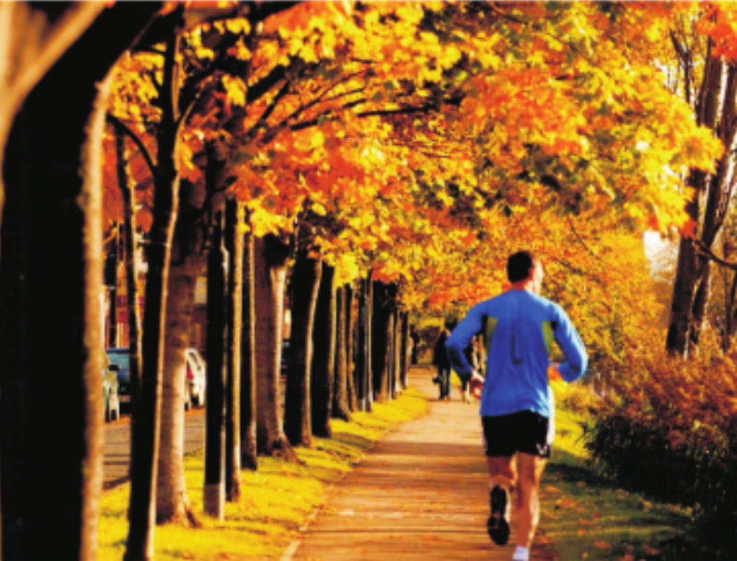 Images for Amenities of Park ARE Park Town