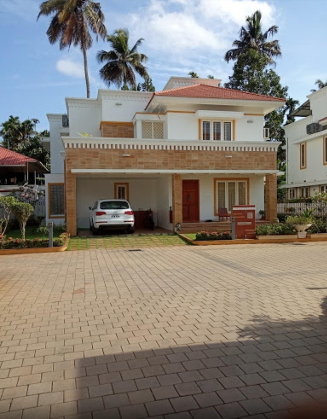  kasavu Elevation
