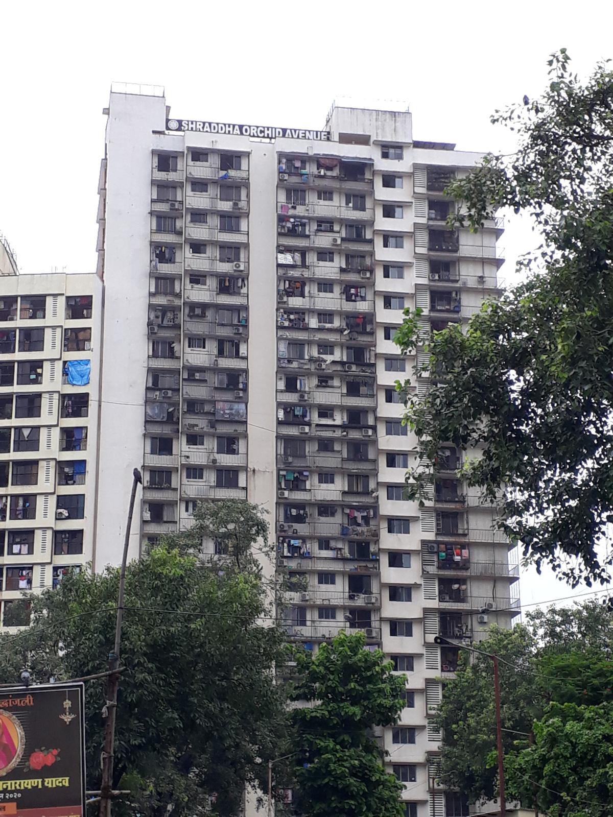  orchid-avenue Elevation