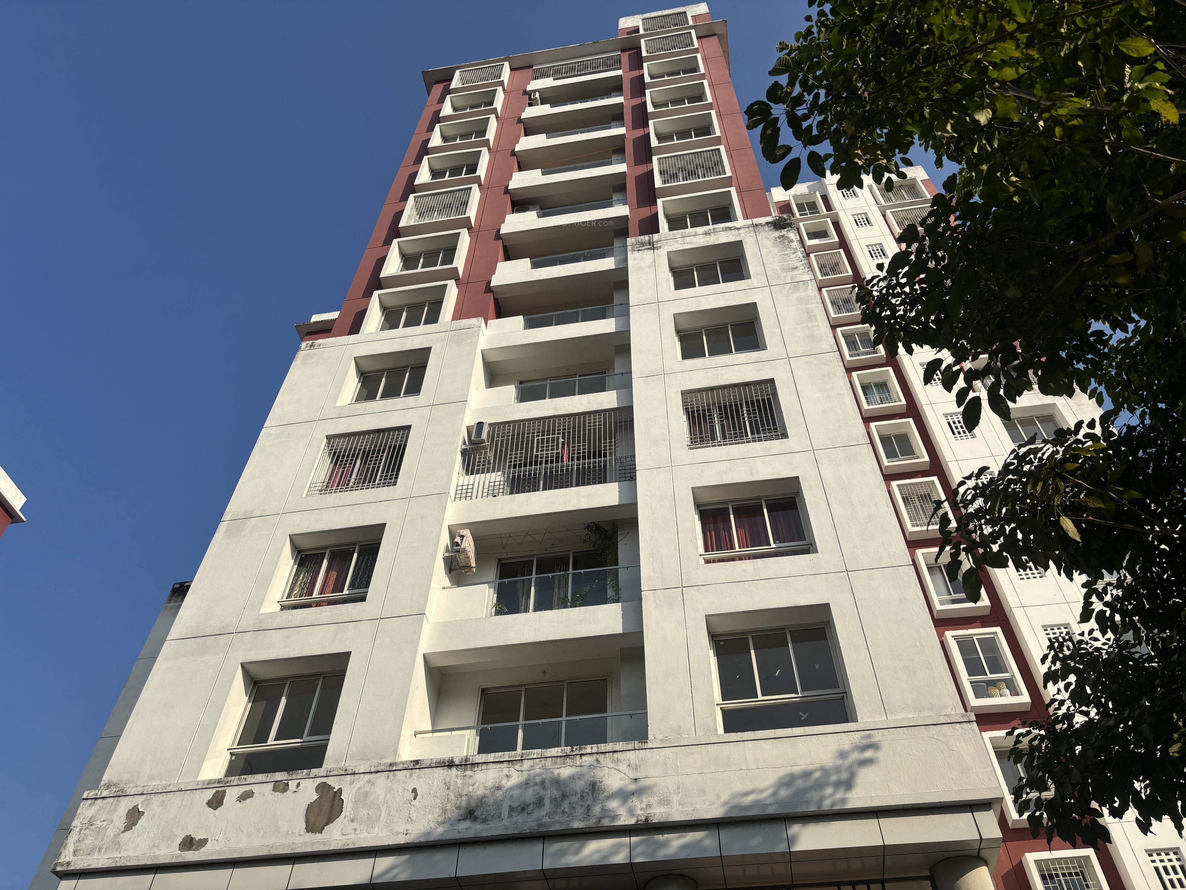  swan-court Elevation