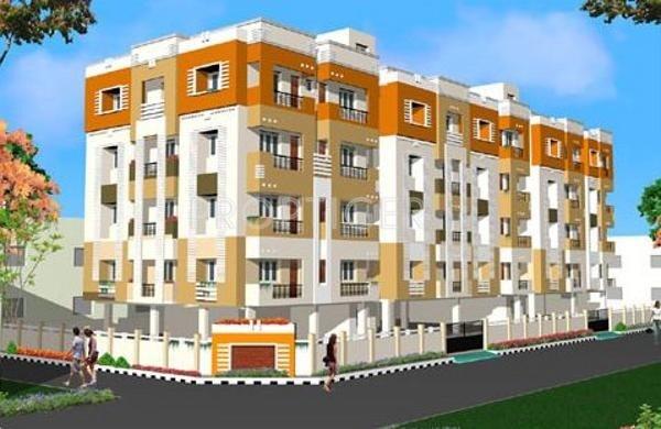 Blossoms