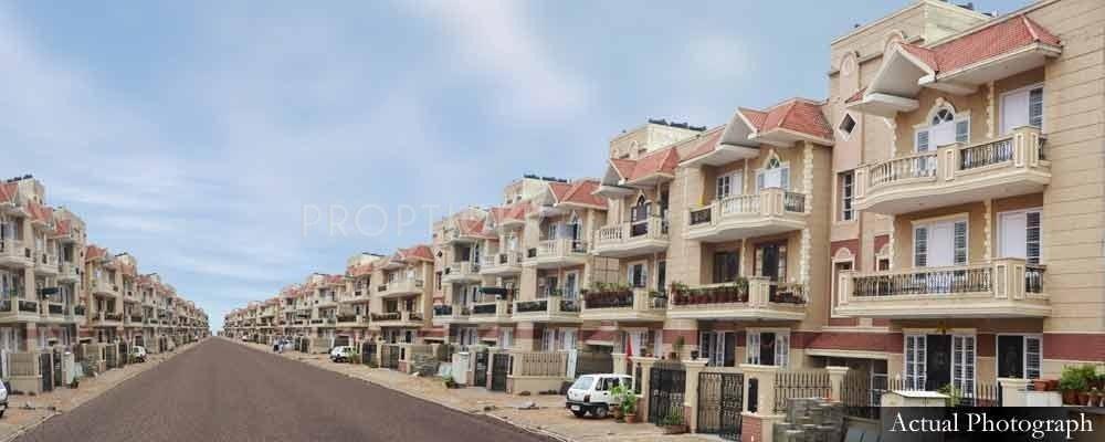 Images for Elevation of Today Homes Luxotica