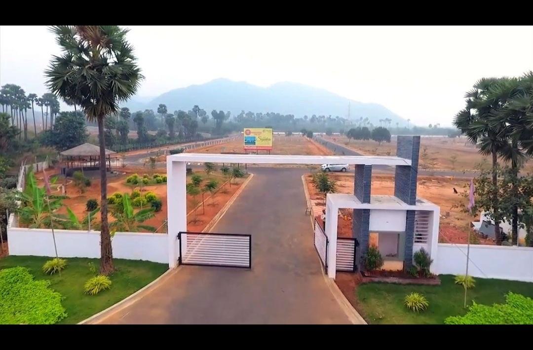 Signature Park