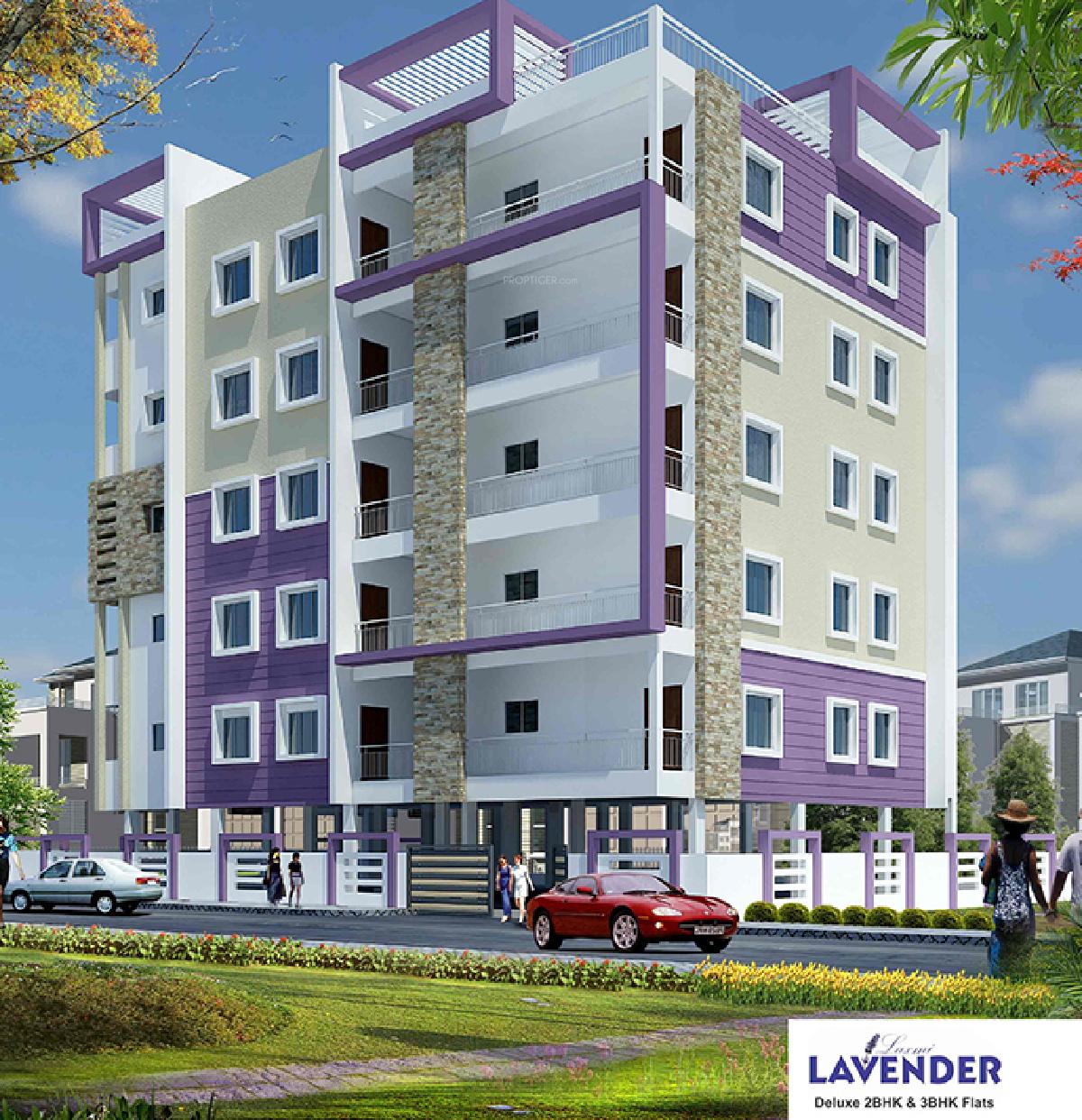 Lavender