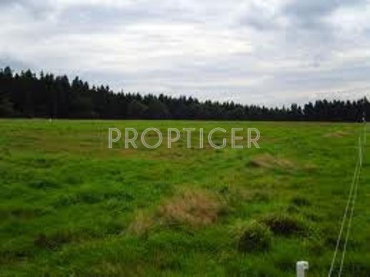 Jemi Housing Ltd Jemi Narayana Nagar Plot