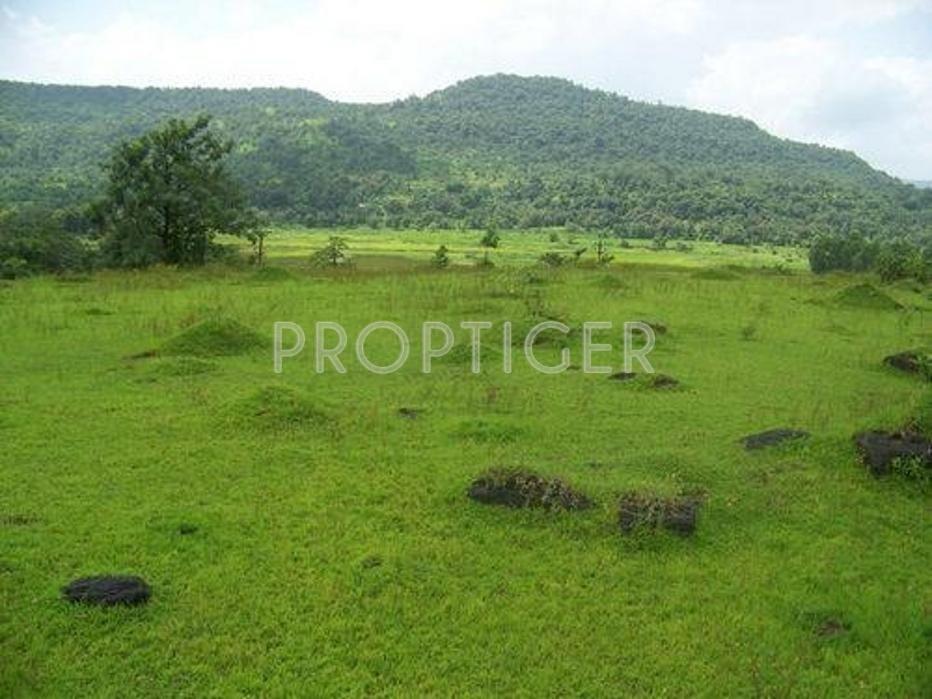 Images for Elevation of Veracity Emerald Valley